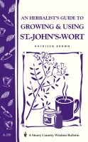 An Herbalist’s Guide to Growing & Using St.-John’s-Wort