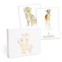 Baby: First Year Milestone Cards